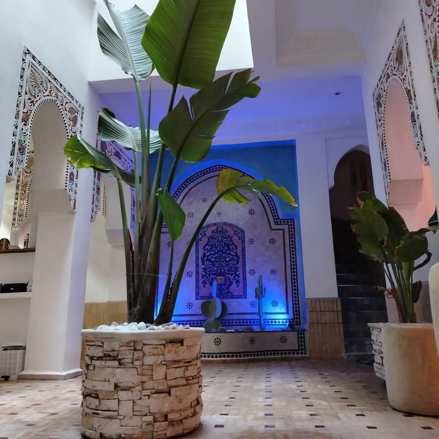 Riad & Spa Sous Le Soleil Chez Jerome Et Pamela Ch Marrakchi Marrakesh Exterior foto